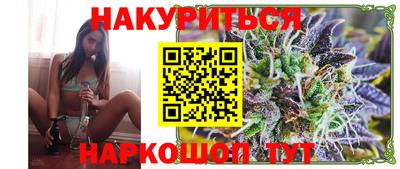 крисы Новодвинск