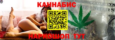 крисы Новодвинск